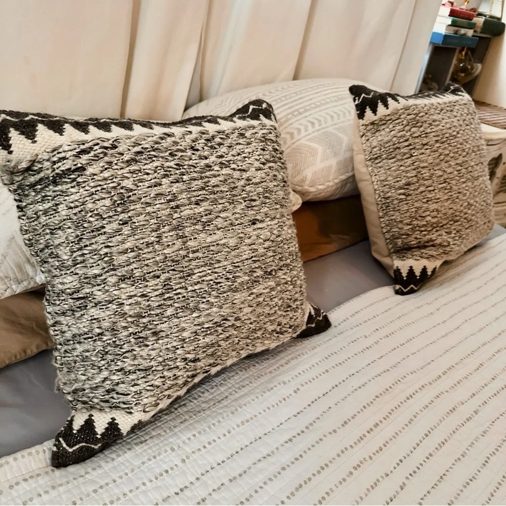 Indoor Outdoor Pillows from Wayfair with Cases and Down Pillow inserts (2 avail)